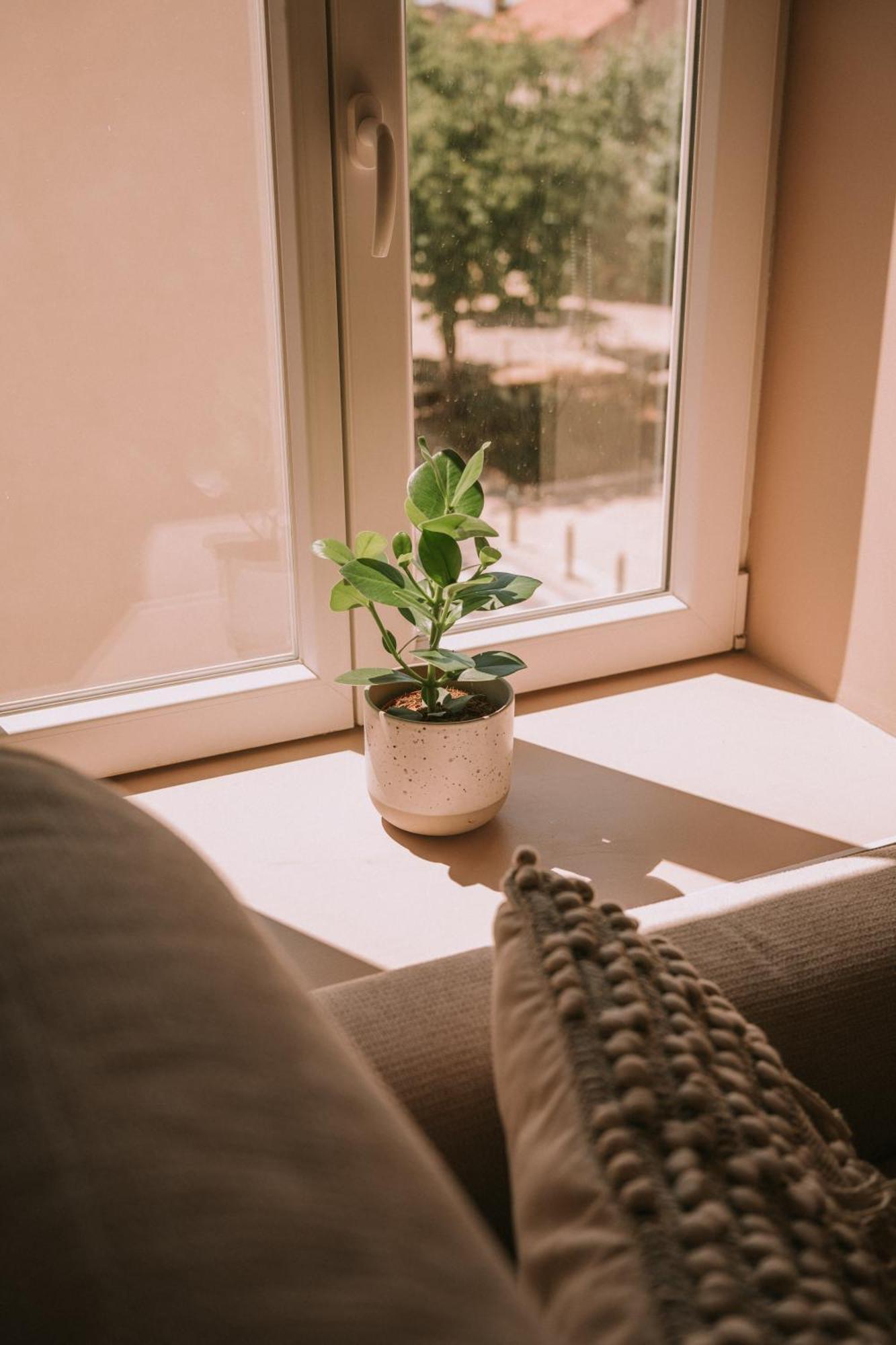 Апартаменты Quietude-Loft Neuf-Clim & Parking Рокфор-ла-Бедуль Экстерьер фото